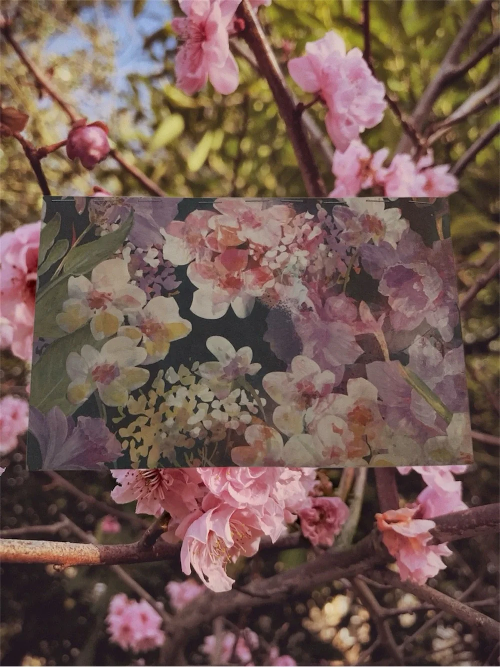 Vintage botanical, cottagecore, watercolor floral, shabby chic Notebook Journal